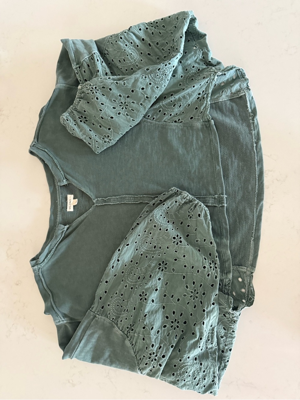 PILCRO for Anthropologie - Eyelet Long-Sleeve Cropped Top in Sage Green - Picture 4 of 7
